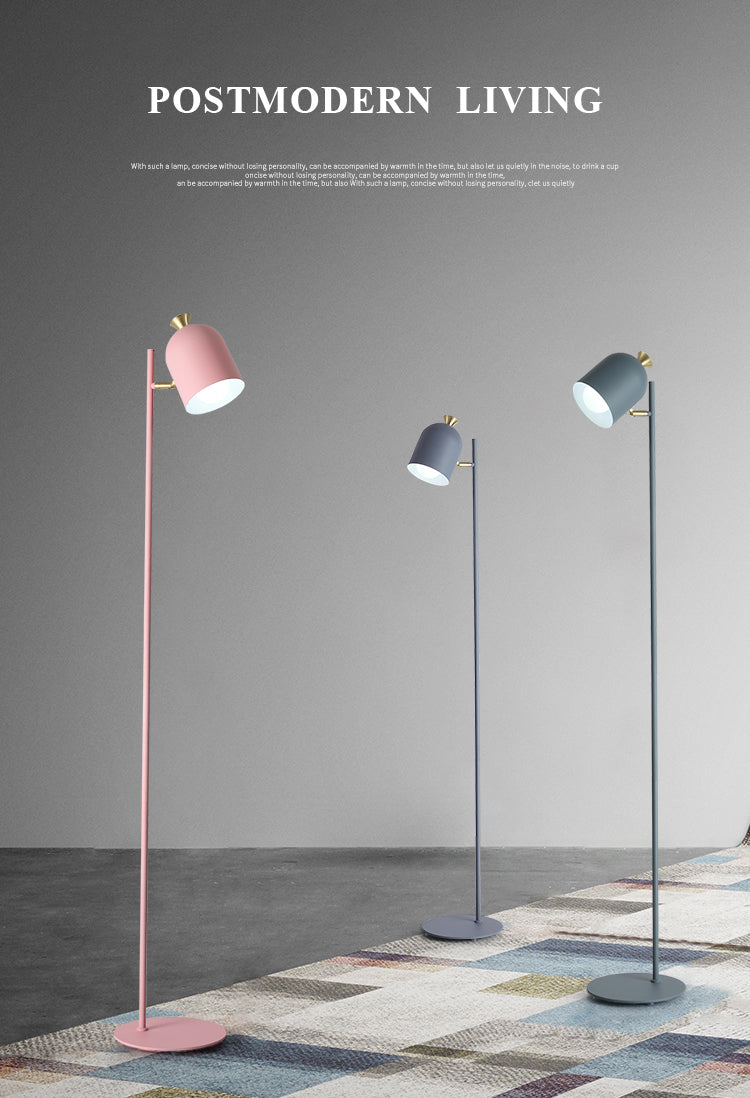 Langwerpige koepelvloer Standing Light Macaron Metal 1-Bulb woonkamer vloerlamp met draaipunt