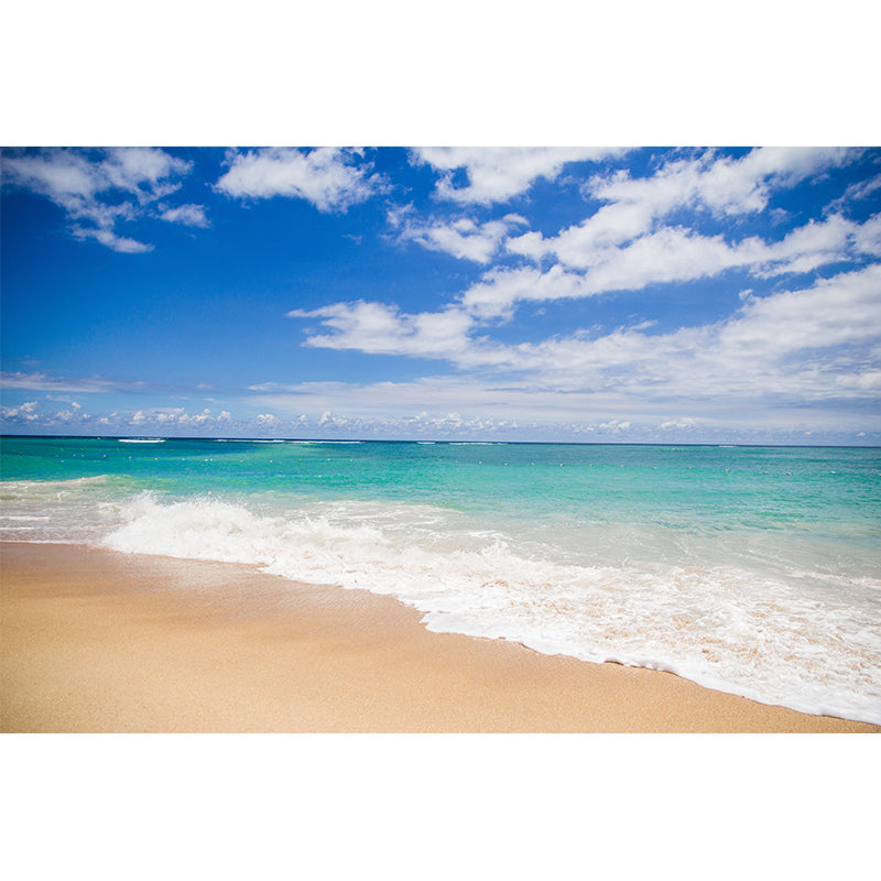 Tropical Beach with Palm Tree Bright Wall Mural Used to Decorate Adult Rooms