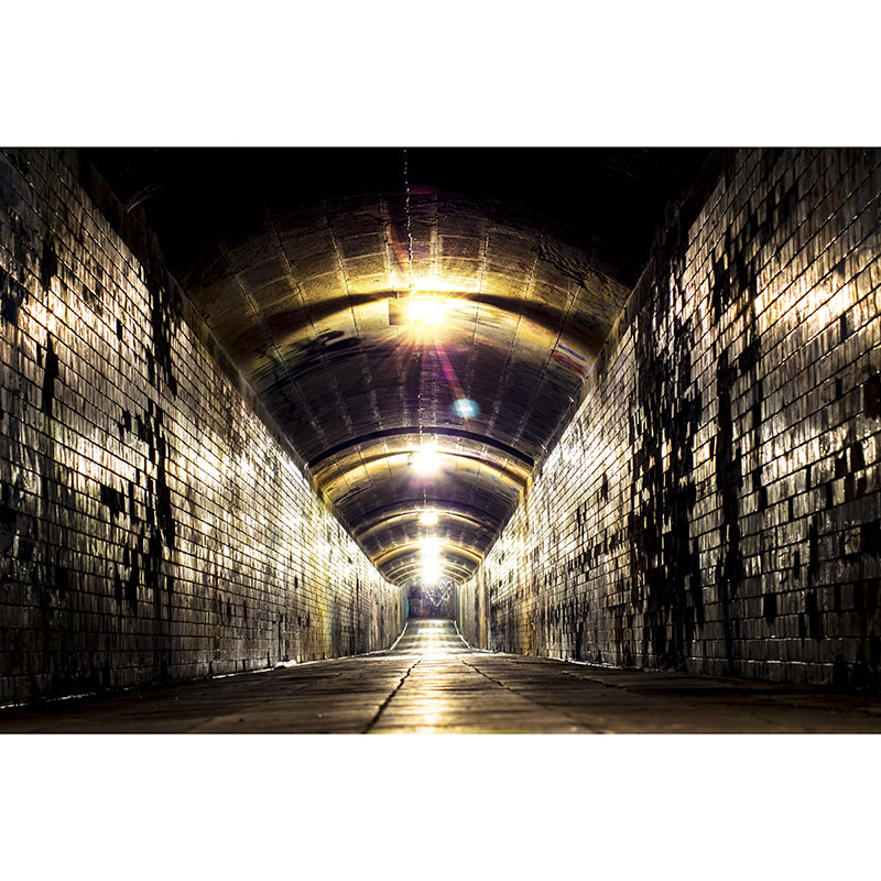 Mysterious Tunnel Mural Novelty Style Mildew Resistant Wall Covering for Living Room