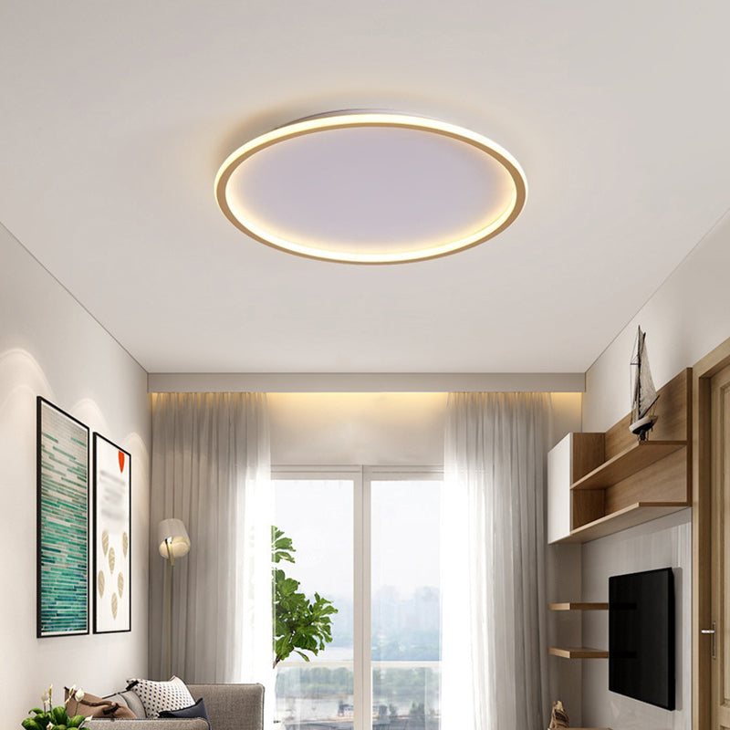 Modern Flush Mount Light Fixture Simple Linear Flush Mount LED Lamp for Living Room