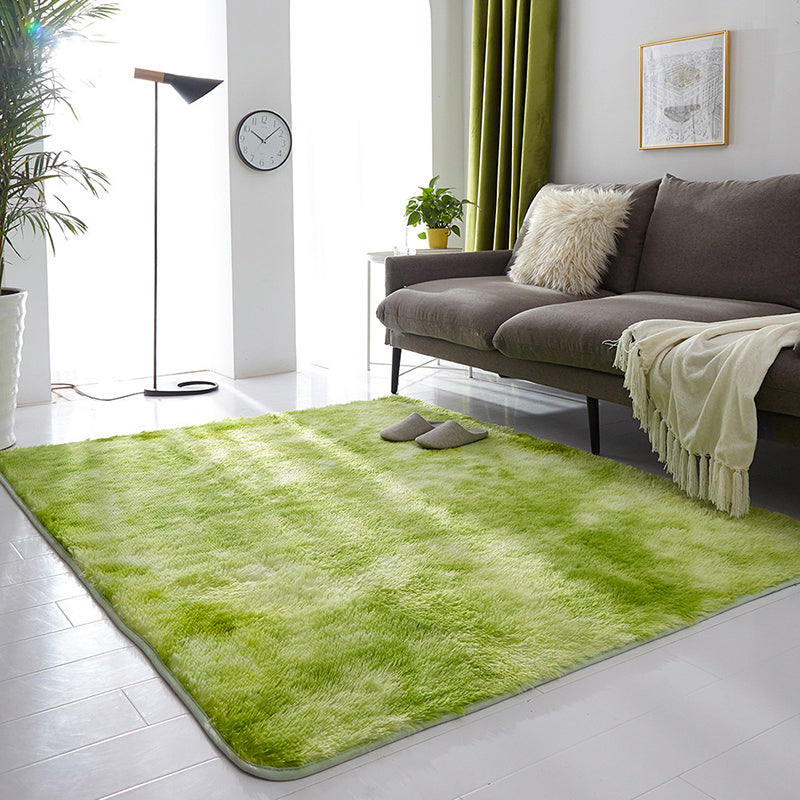 Trendy Plain Shag Rug Polyester Area Carpet Stain Resistant Indoor Rug for Home Decoration