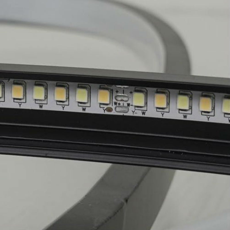 Lámpara LED ovalada Flush Techo Accesorio para comedor de sala de estar para sala de estar