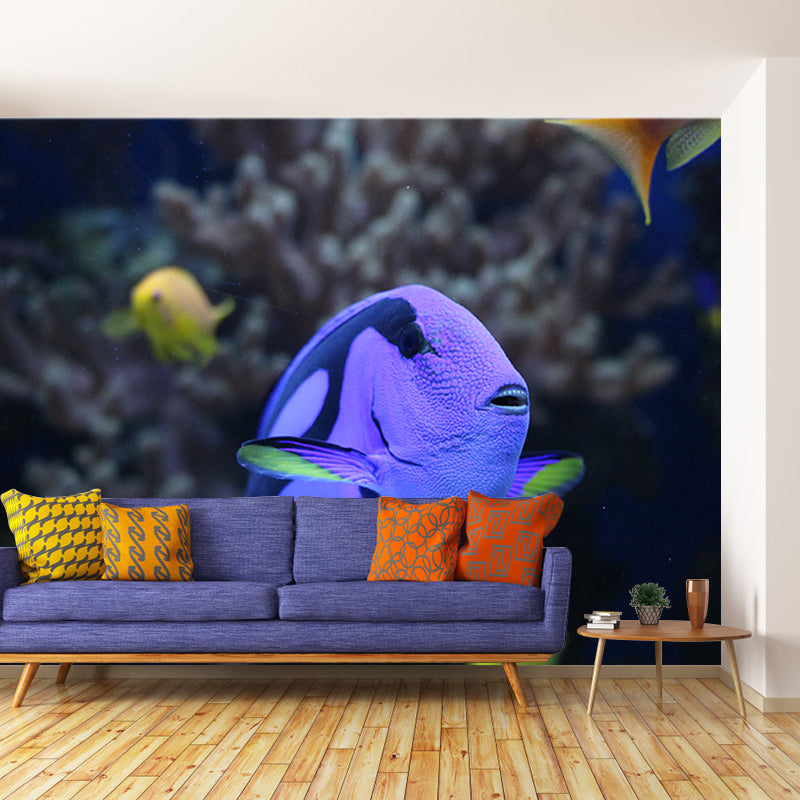 Sea Creatures Photography Decorative Wall Murals for Bedrooms Sitting Room