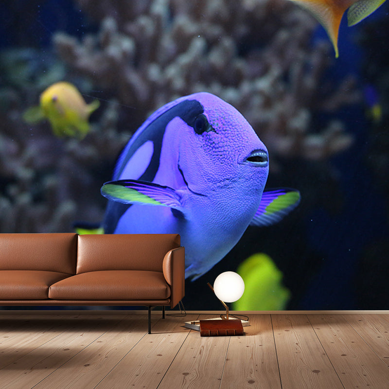 Sea Creatures Photography Decorative Wall Murals for Bedrooms Sitting Room