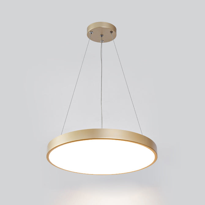 Nordic Modern Simple Style LED Chandelier Pendant Light for Bedroom Living Room Dining Room Study