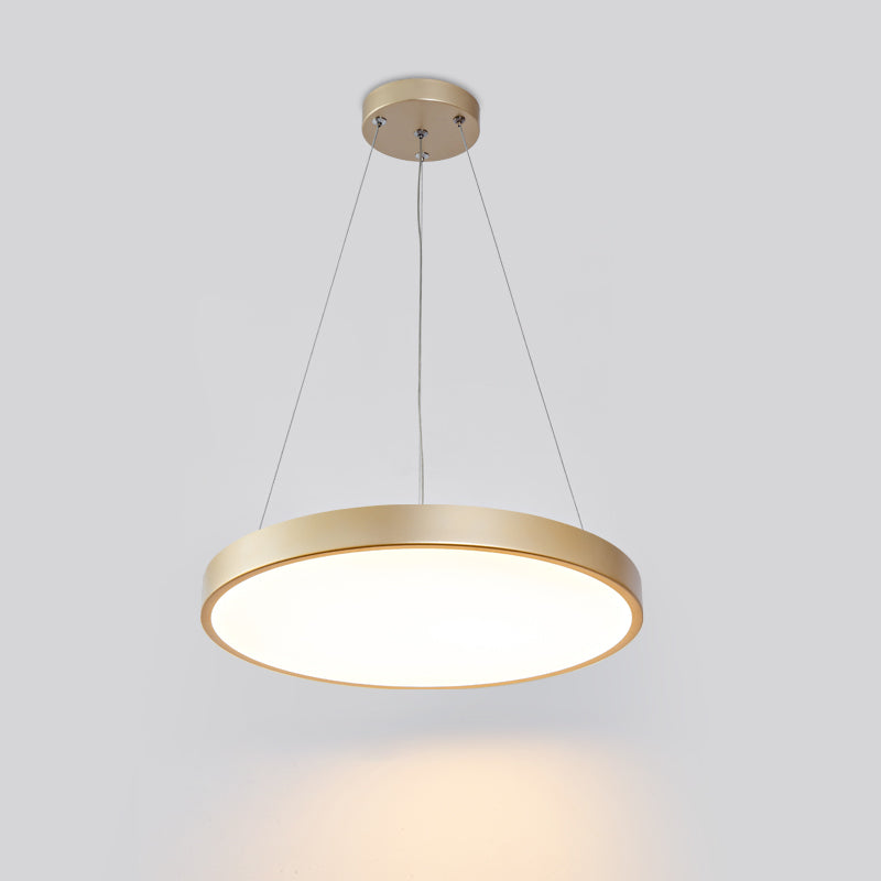 Nordic Modern Simple Style LED Chandelier Pendant Light for Bedroom Living Room Dining Room Study