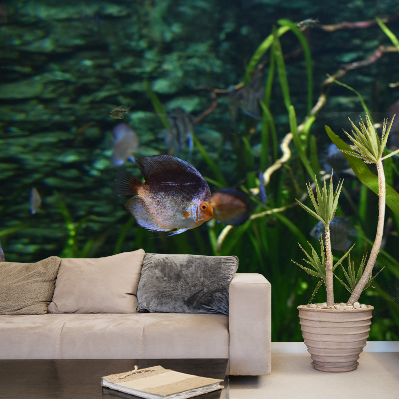 Rich Seabed Murals Modern Wall Covering for Sitting Room, Water Resistant
