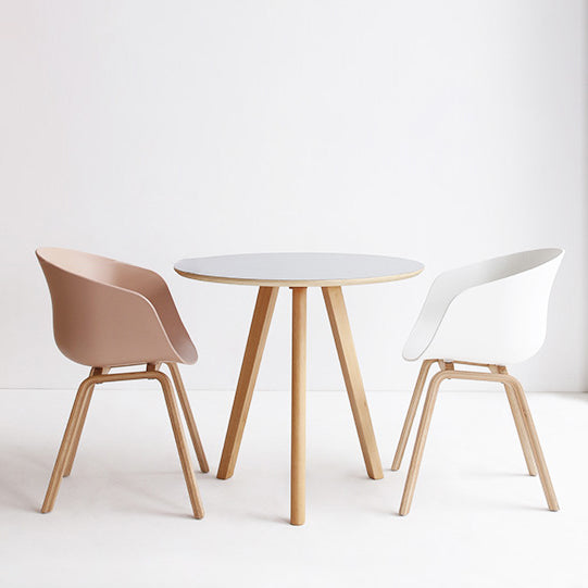 Contemporary Style Dining Room Chairs Solid Arm Chair with Wooden Legs