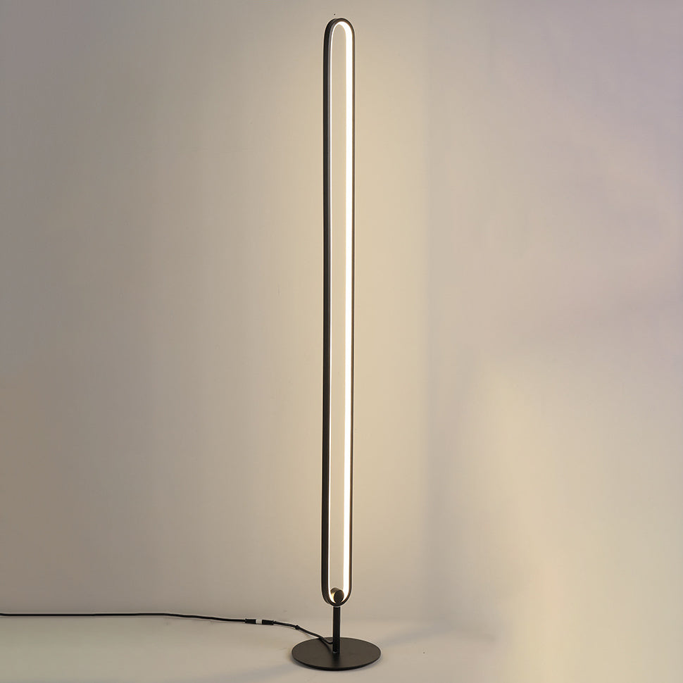 Elliptical Bedroom Atmosphere Floor Lamp Metal LED Minimalist Floor Light in Black