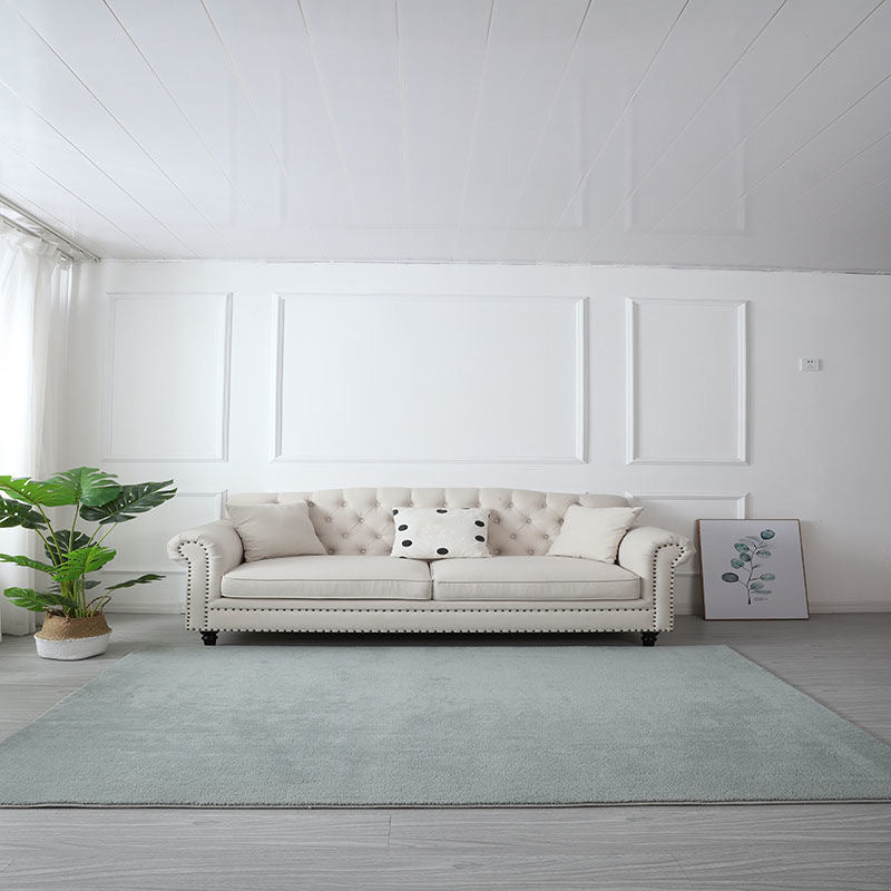 Comfort Solid Shag Carpet Área de poliéster Alfombra alfombra de interior para salón para mascotas para sala de estar