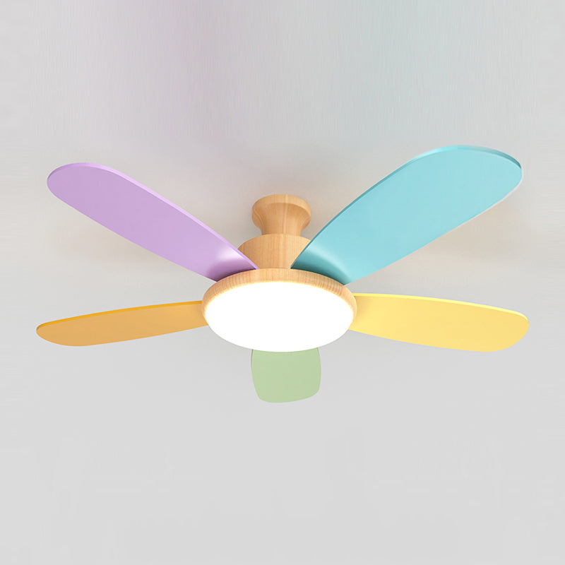 Macaron Flush Mount Fans Lampe Lais