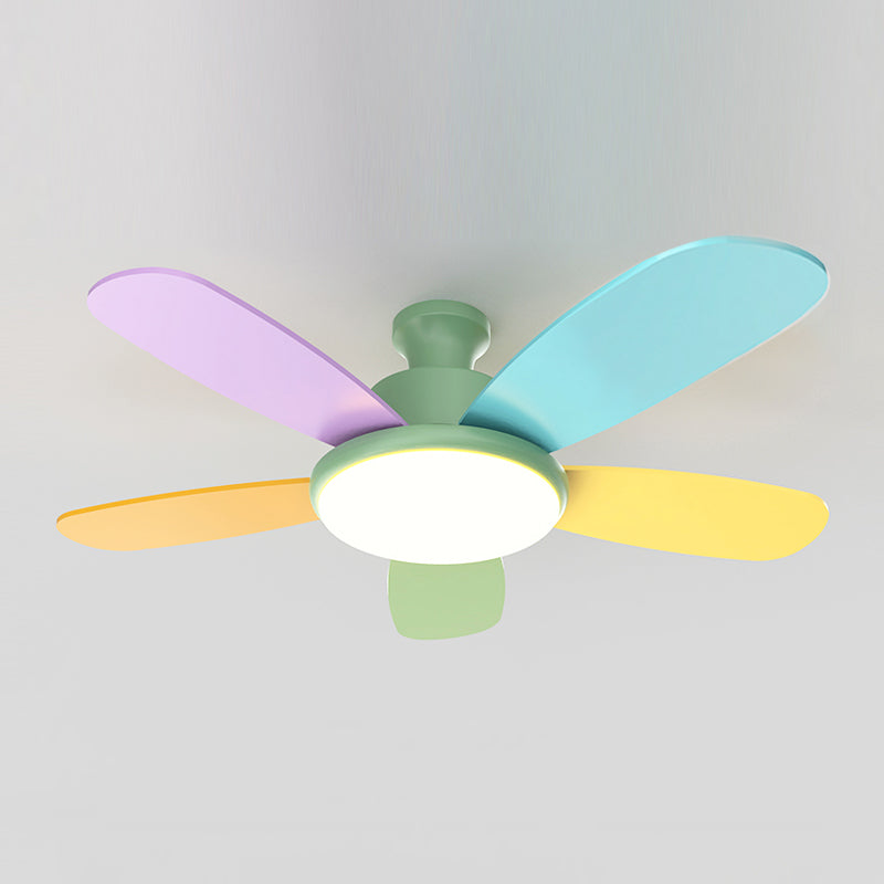 Macaron Flush Mount Fans Lampe Lais