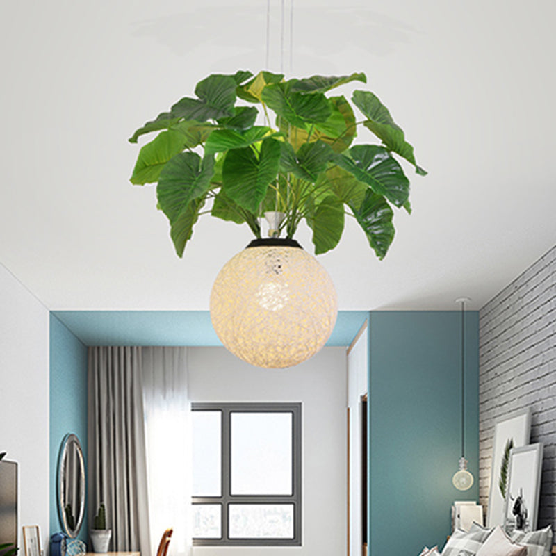 1 Head Metal Pendant Lamp Antique White Ball Restaurant Down Lighting with Plant Decoration