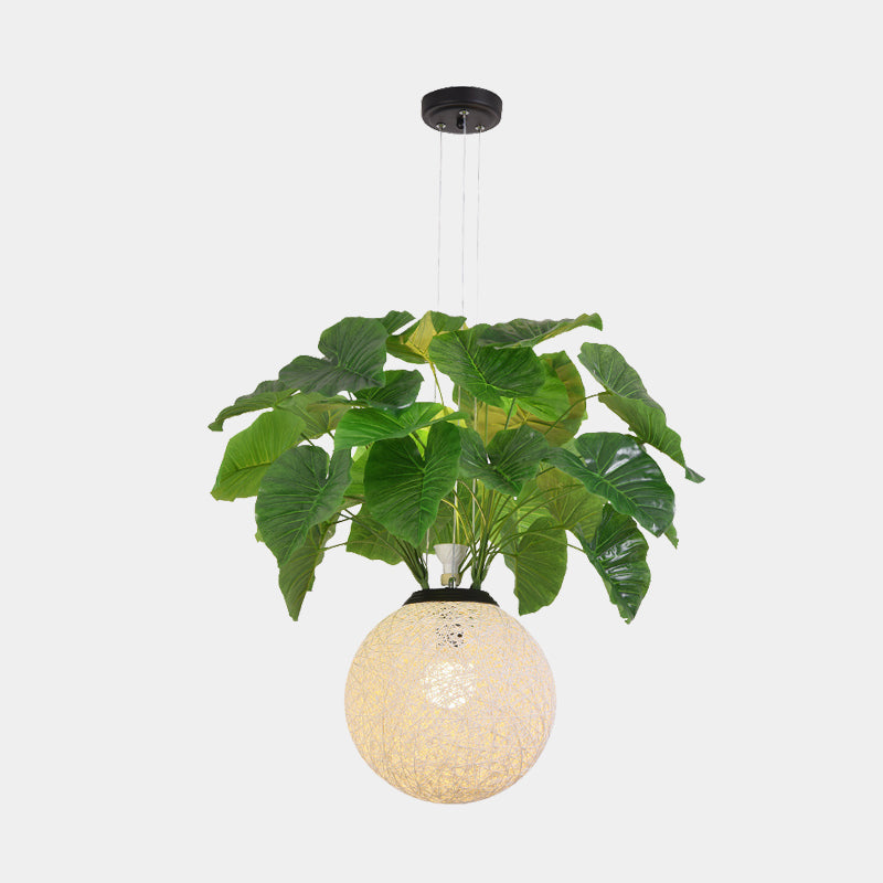 1 Head Metal Pendant Lamp Antique White Ball Restaurant Down Lighting with Plant Decoration