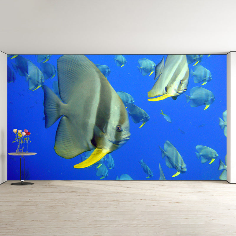 Tropical Underwater Creatures Mural for Living Room Moisture Resistant, Customized Size