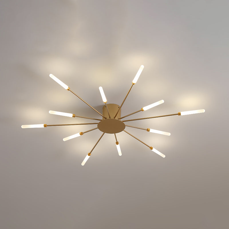 Firework Modern LED Ceiling Light Acrylic Shade  Flush Mount Light for Sitting Room