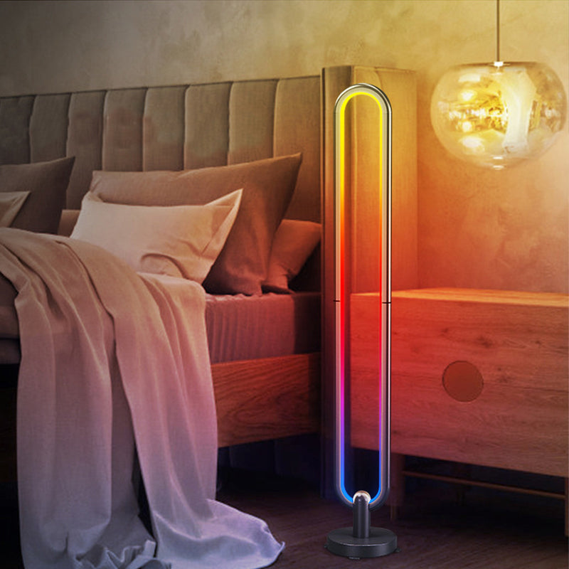 Oval Shaped Bluetooth Floor Light Modern Metal Bedroom RGB Standing Light