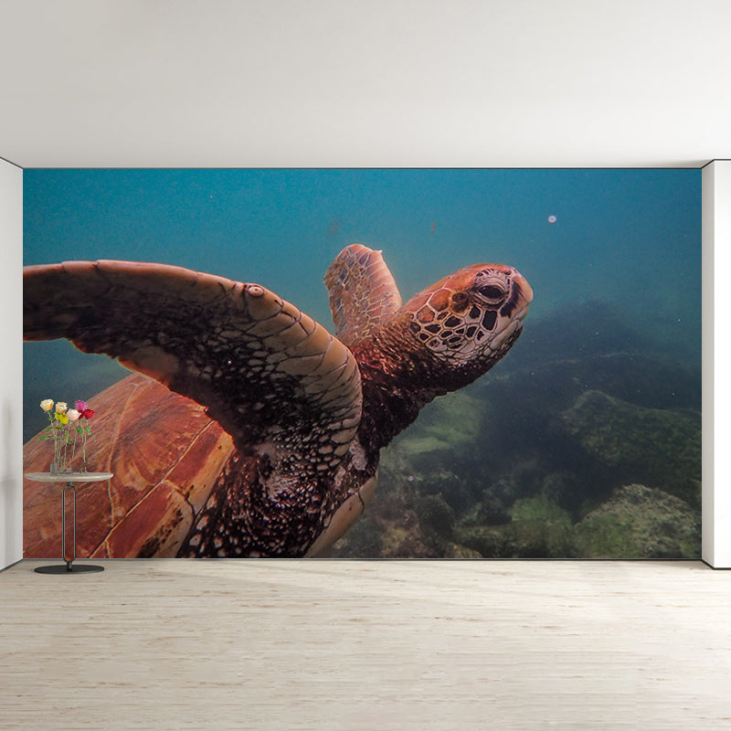 Sea Creatures Contemporary Murals Environment Friendly Wallpaper Sitting Room Wall Decor