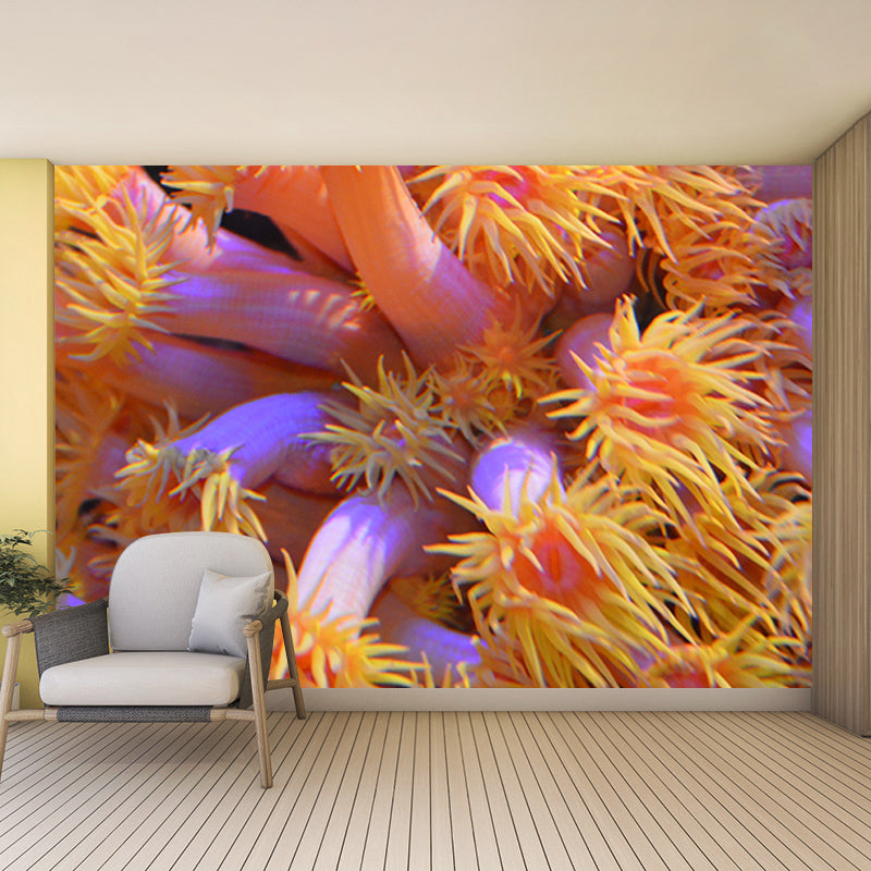 Seabed Photography Wall Murals Wallpaper Mildew Resistant Wall Murals for Bathroom