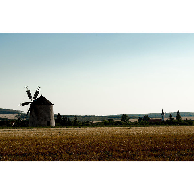 Room Wall Mural Wallpaper Small Town Windmill Mildew Resistant Wall Decor