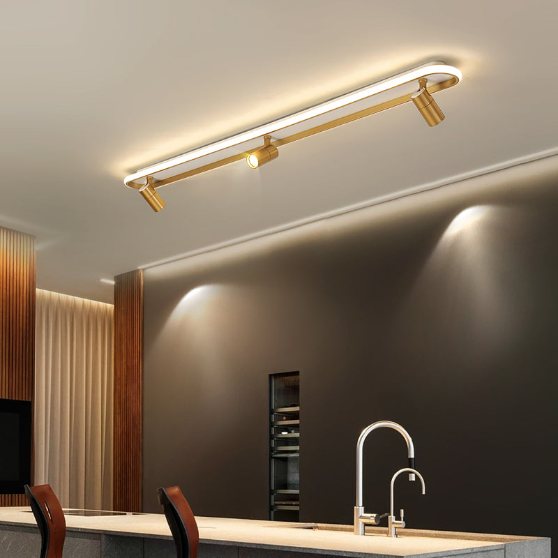 LED Flush Mount Ceiling Lighting Contemporary Ceiling Mounted Light Fixture