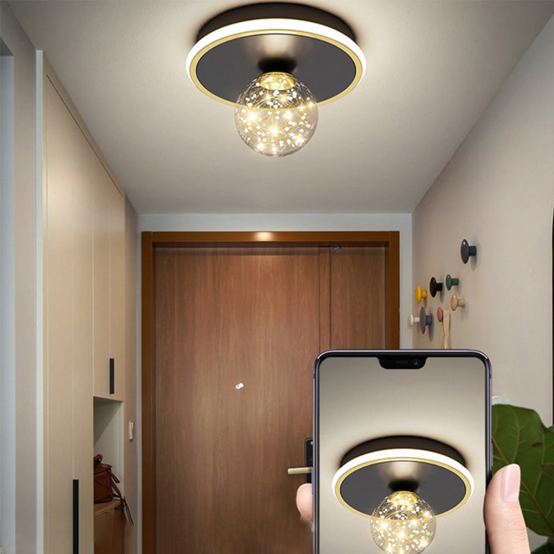 Ball Shape LED Ceiling Lamp Modern Iron 1 Light Flush Mount for Aisle Corridor