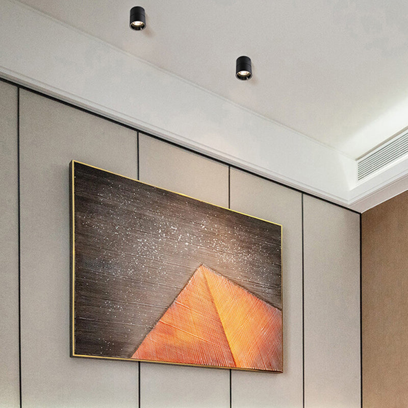 Moderne stijl cilindervorm plafond armatuur metaal 1 licht plafond gemonteerd licht