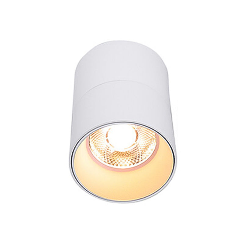 Modern Style Cylinder Shape Ceiling Fixture Metal 1 Light Ceiling Mounted Light