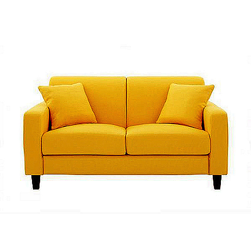 Contemporary 2-seat Sofa Square Arm Settee with Removable Cushions