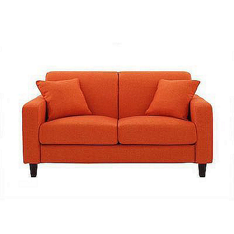 Contemporary 2-seat Sofa Square Arm Settee with Removable Cushions