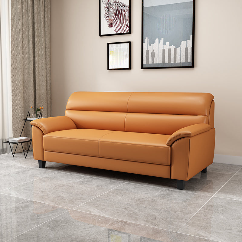 Contemporary Pillow Top Arm Sofa Single Cushion Seat for Living Room