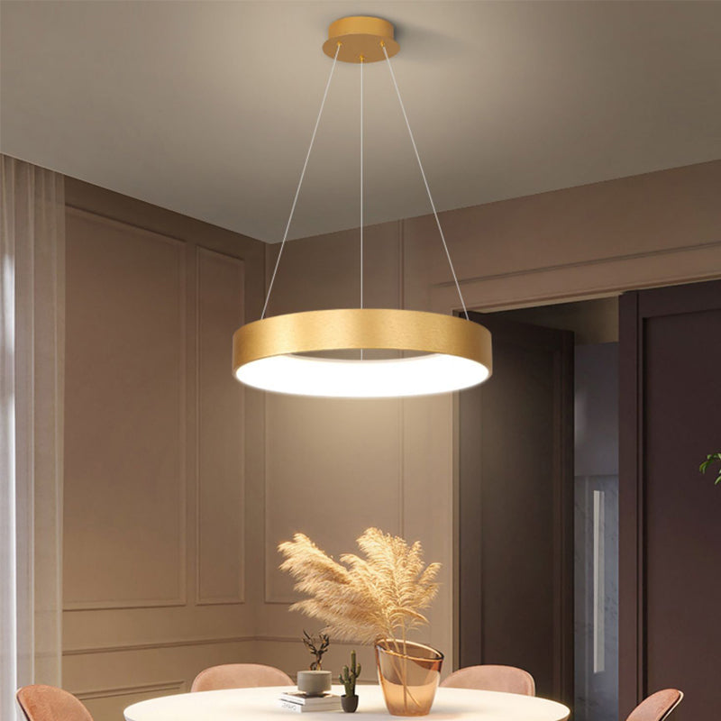 Modern Style Hanging Lighting Fixture Household LED Chandelier for Sitting Room