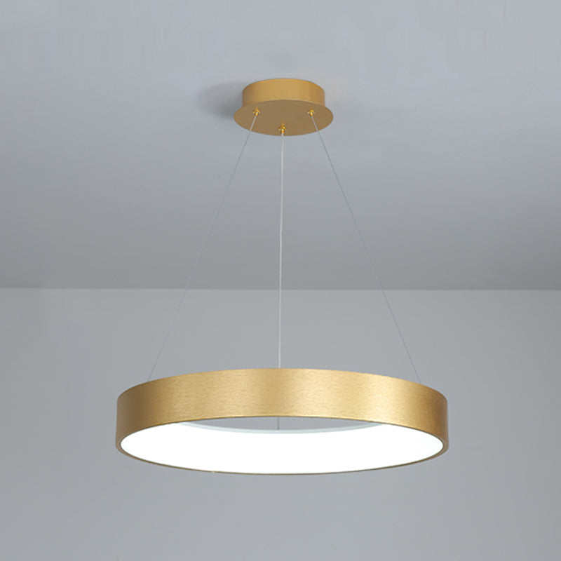 Modern Style Hanging Lighting Fixture Household LED Chandelier for Sitting Room