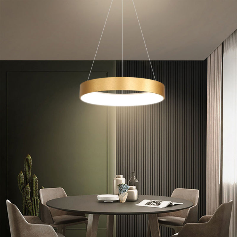 Modern Style Hanging Lighting Fixture Household LED Chandelier for Sitting Room