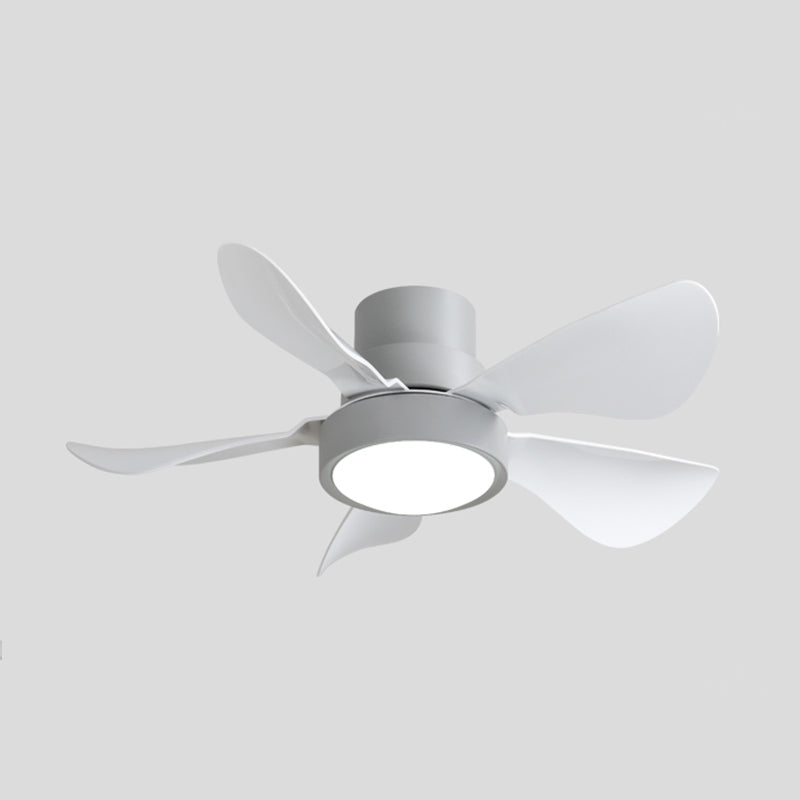 Ceiling Fan Light Simple-Style LED Metal Ceiling Flush Mount Light