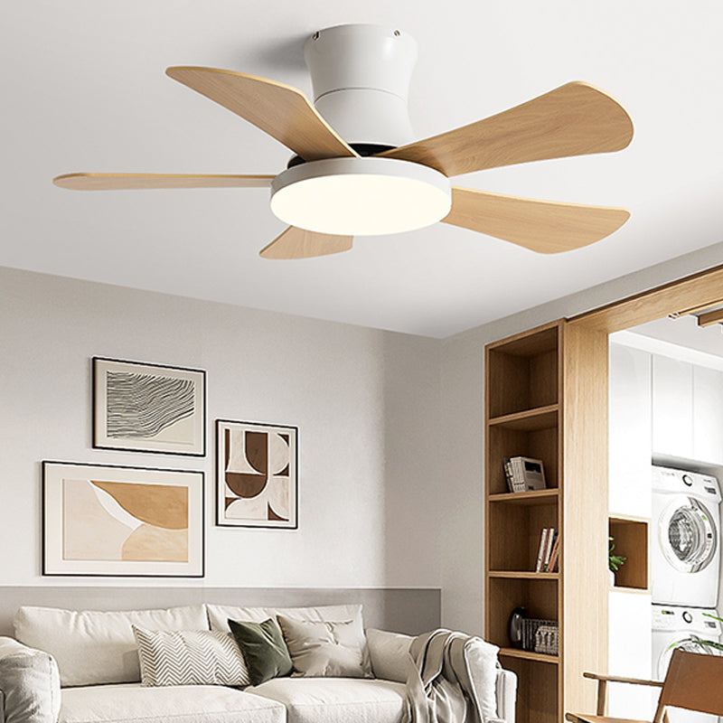 Modern Macaron Ceiling Fan Light Metal 1 Light LED Ceiling Fan for Children's Room