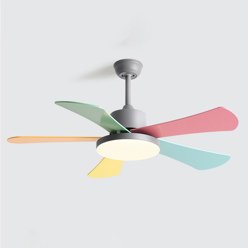 Modern Colorful Ceiling Fan Light Metal 1 Light LED Ceiling Fan for Kid's Room