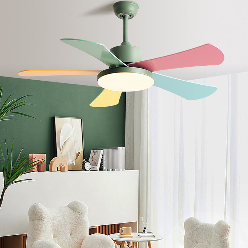 Modern Colorful Ceiling Fan Light Metal 1 Light LED Ceiling Fan for Kid's Room