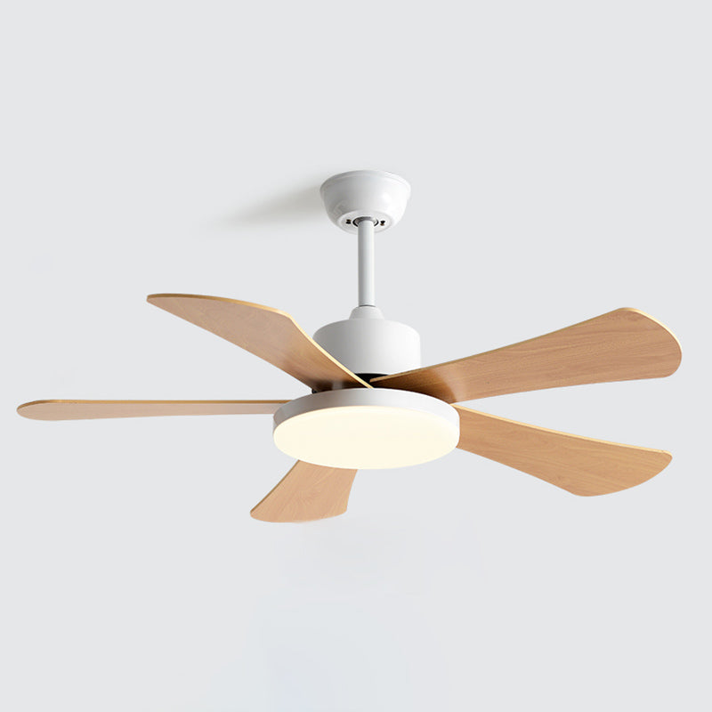 Modern Colorful Ceiling Fan Light Metal 1 Light LED Ceiling Fan for Kid's Room