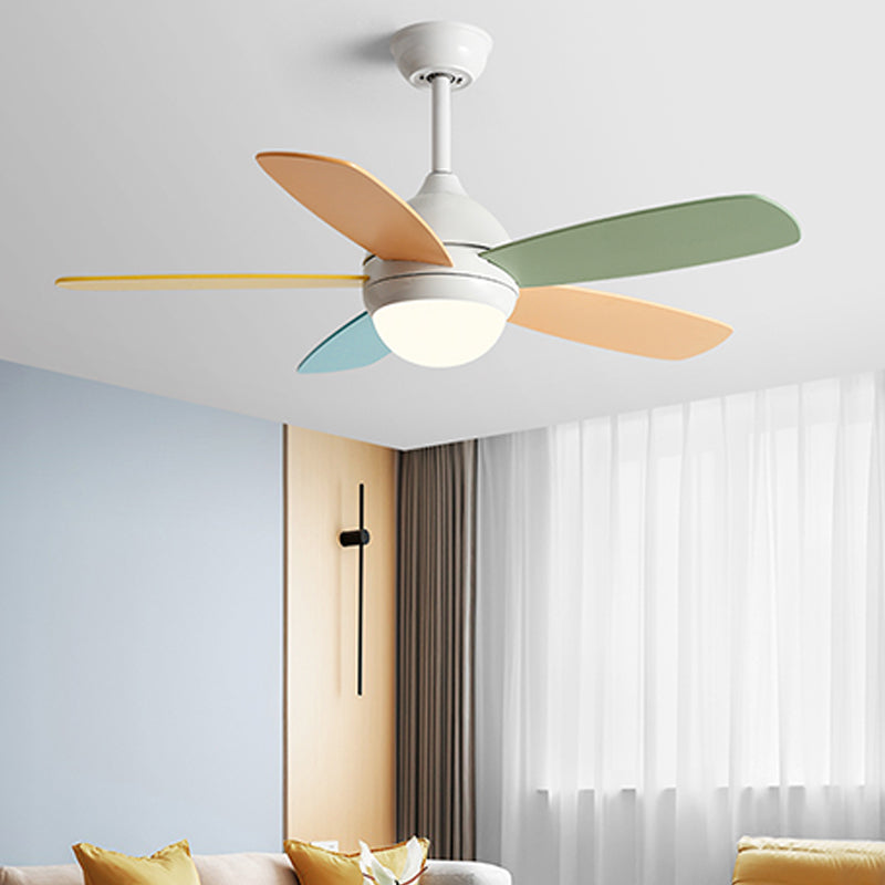 Contemporary Colorful Ceiling Fan Light Metal 1-Light LED Ceiling Fan for Bedroom