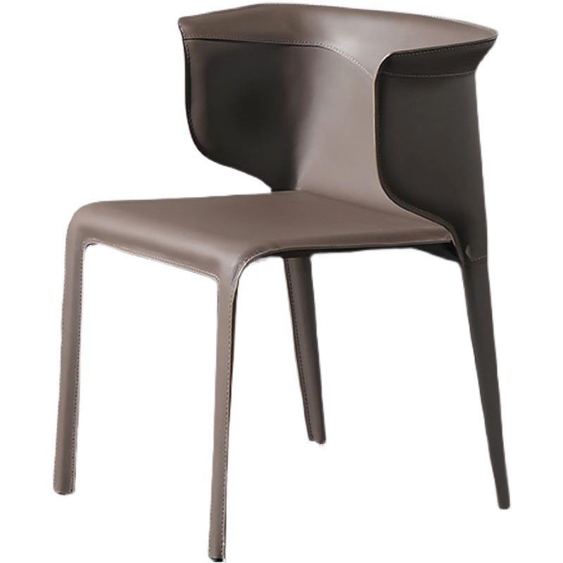 Metal Contemporary Indoor Chair with Leather Legs Matte Finish Side Chair for Dining Room