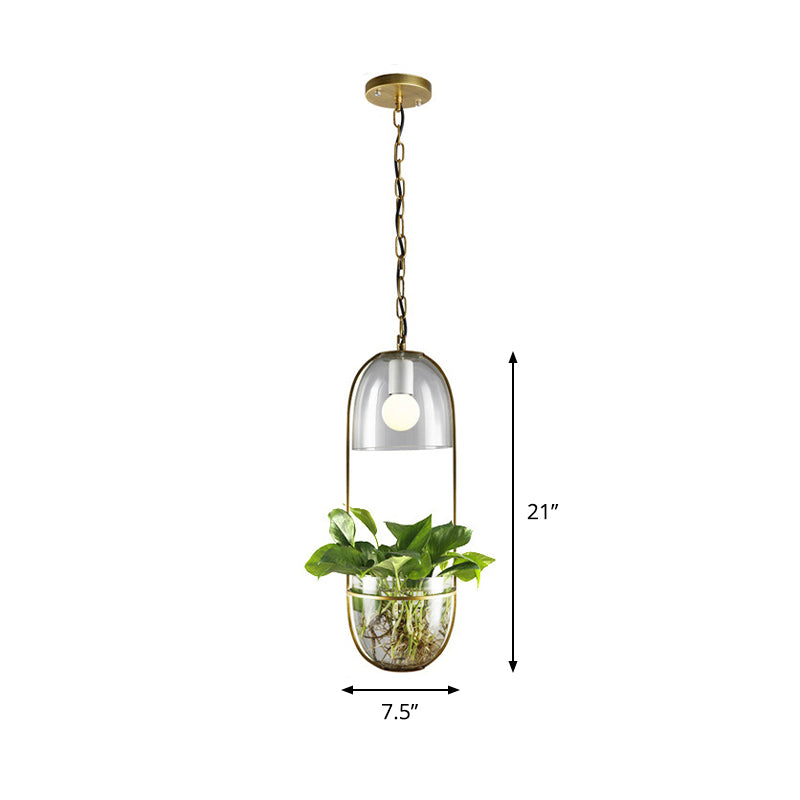 Oval Restaurant Pendant Lighting Industrial Metal 1 Bulb Gold LED Hanging Light Fixture