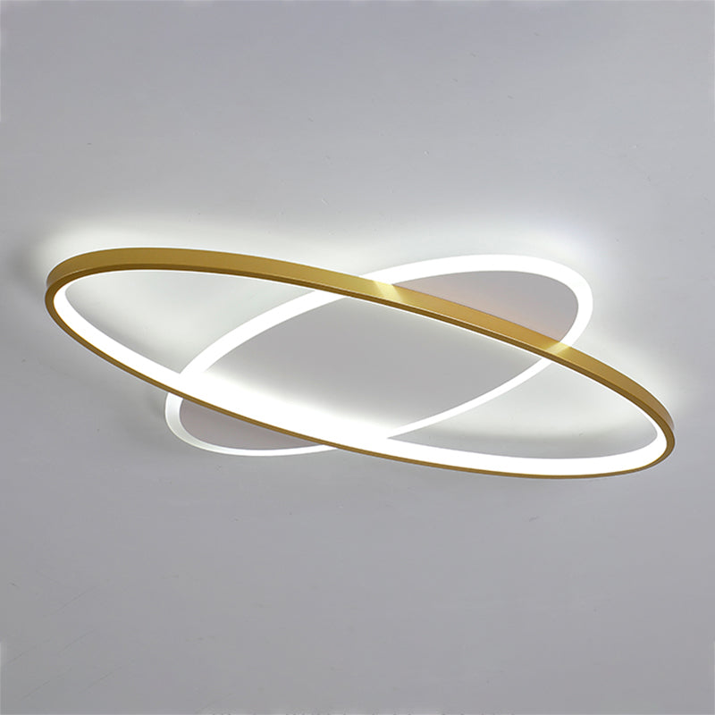 Modern Style Oval Shape Ceiling Fixtures Metal 2 Light Ceiling Mounted Lights