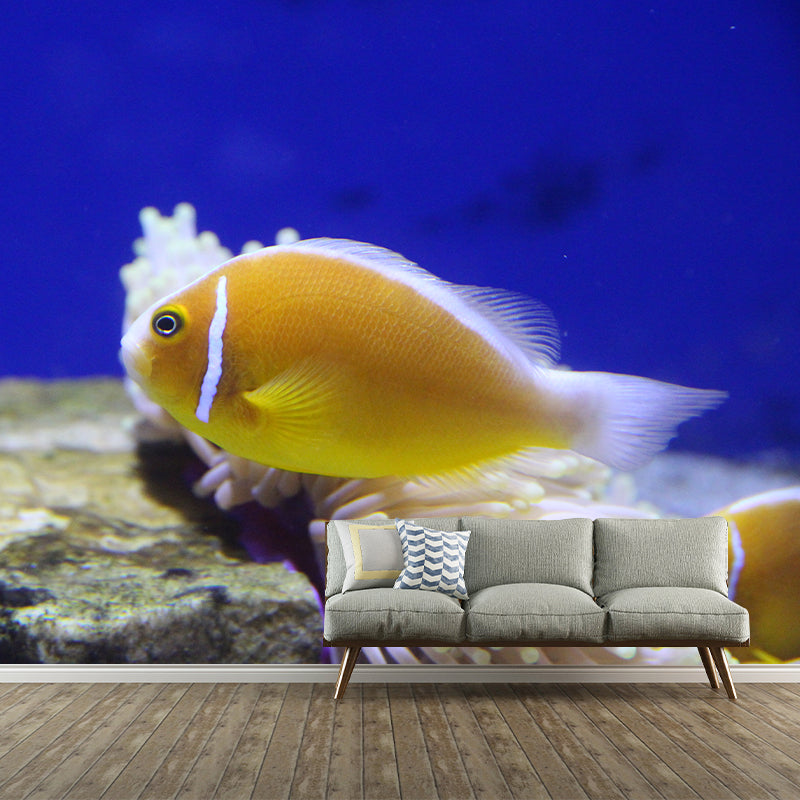 Decorative Undersea Photography Wallpaper Living Room Wallpaper