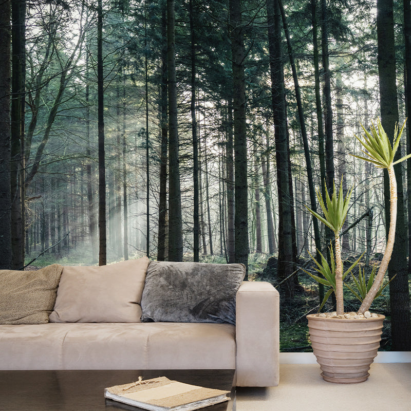 Forest Photography Stain Resistant Wallpaper Living Room Wallpaper