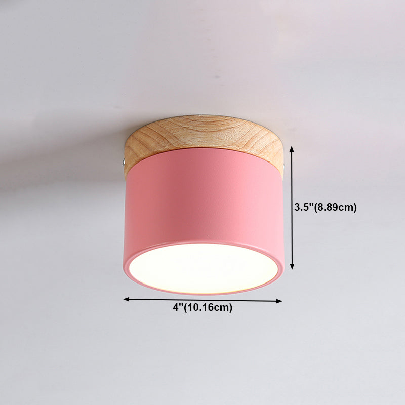 Modern Style Cylindrical Shape Ceiling Lamp Metal 1 Light Ceiling Lighting for Living Room