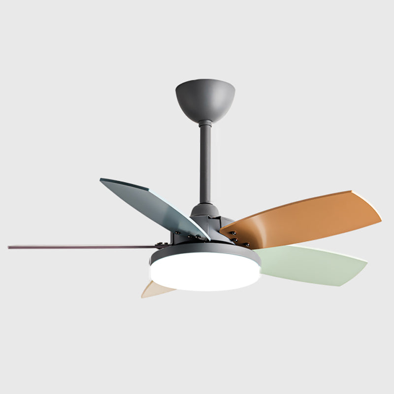 Modern Simple Metal Ceiling Fan Lamp Colorful Blades LED Ceiling Fan Light for Bedroom