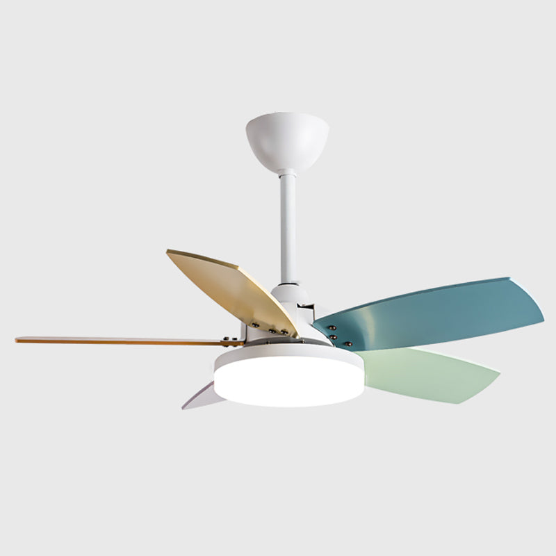 Modern Simple Metal Ceiling Fan Lamp Colorful Blades LED Ceiling Fan Light for Bedroom