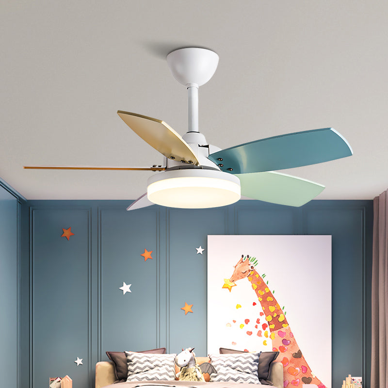 Modern Simple Metal Ceiling Fan Lamp Colorful Blades LED Ceiling Fan Light for Bedroom