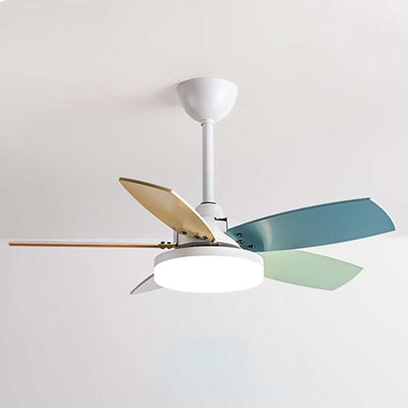 Modern Simple Metal Ceiling Fan Lamp Colorful Blades LED Ceiling Fan Light for Bedroom